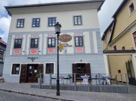 Hotel Salamander - Garni, hotel v Banskej Štiavnici