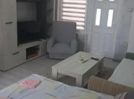 Apartman LJILJANA BELA CRKVA