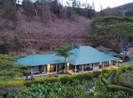 Iao Valley Inn