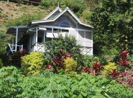 Gingerbread Cottage and Studio Fiji, hotel in Savusavu