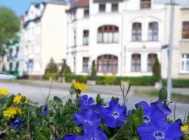 Kamienica pod Kasztanami Świnoujście (Usedom Insel)