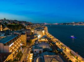 Novotel Istanbul Bosphorus Hotel, pet-friendly hotel in Istanbul