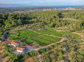 Holiday house with a parking space Pitve, Hvar - 17397, hotel di Jelsa