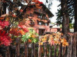 Chalet Speciale - Celerina, hotel em Celerina