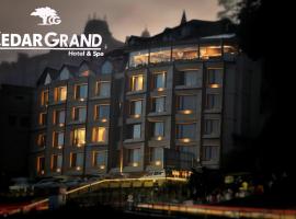 The Cedar Grand Hotel and Spa, viešbutis Šimloje, netoliese – Simla oro uostas - SLV