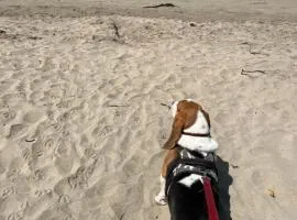 Llego Octubre y el buen clima a Playa Los Molles- en acogedora cabaña 2 a 3 personas