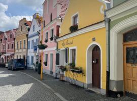 Apartmány Žlutý domeček, hotell i Třeboň