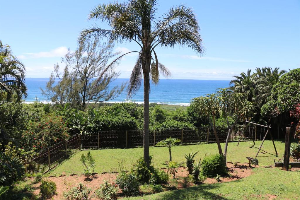 eine Palme in einem Garten mit Meer im Hintergrund in der Unterkunft Woodgrange Garden Cottages in Hibberdene