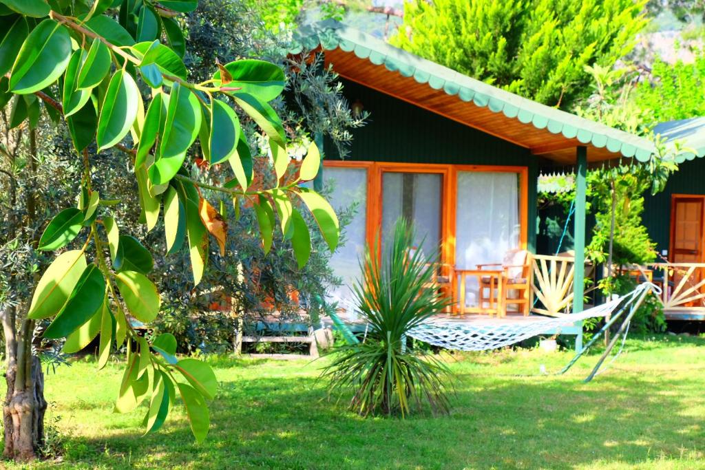 A garden outside Etenna Beach Bungalows