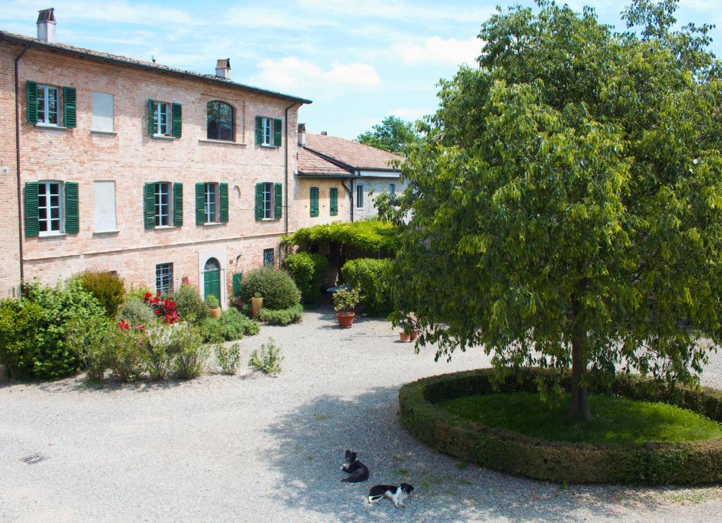 dos gatos están sentados en un patio junto a un árbol en Corte La Volta en Piacenza