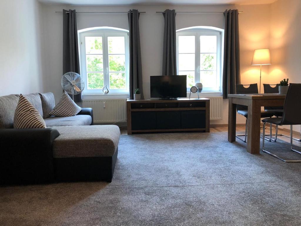 ein Wohnzimmer mit einem Sofa, einem TV und Fenstern in der Unterkunft Viadrina Rooms & Apartments Frankfurt-Oder am Park im Zentrum in Frankfurt (Oder)