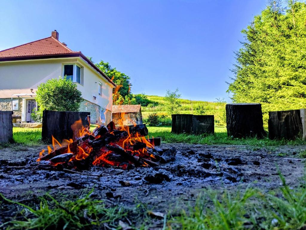 Sodas prie apgyvendinimo įstaigos Római Fürdő Apartmanház