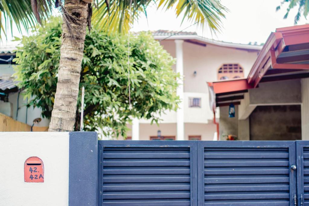 une clôture bleue avec un palmier devant une maison dans l'établissement 4ty two Homestay Galle, à Galle