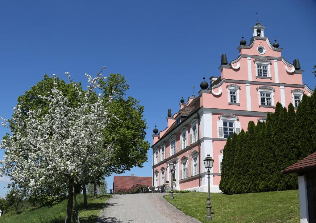 un bâtiment rose avec un arbre devant lui dans l'établissement Hotel Schloss Freudental, à Allensbach