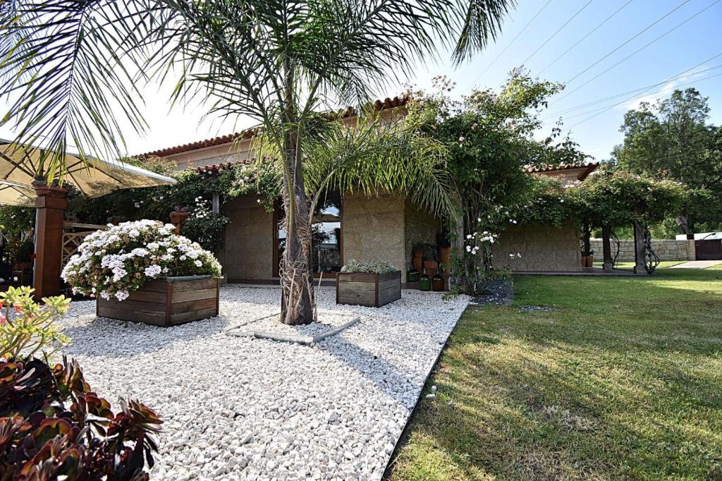 una casa con una palmera en un patio en Casa de Ryvyo en Penafiel