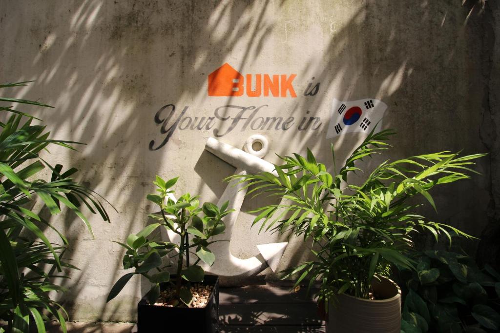 Kebun di luar Bunk Guesthouse Hongdae