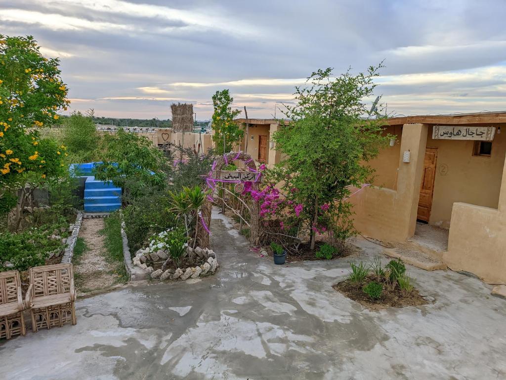 a garden with plants and trees and a building at Gagal camp in Siwa