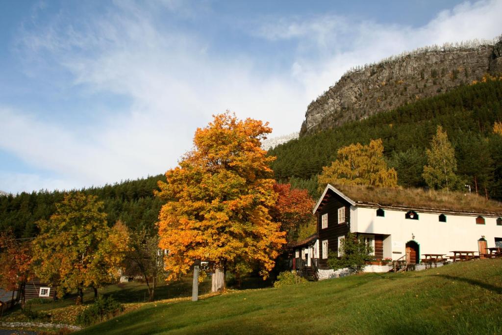 une maison sur une colline avec un arbre dans l'établissement HI Sjoa, à Otta