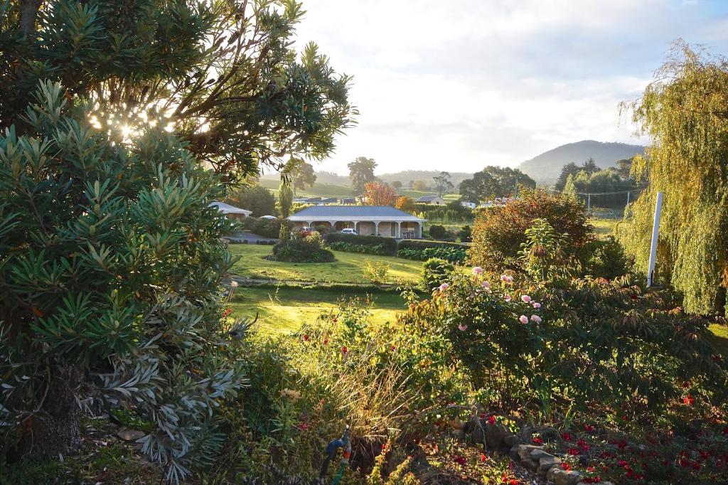 einen Garten mit einem Haus im Hintergrund mit Bäumen und Pflanzen in der Unterkunft Port Arthur Villas in Port Arthur