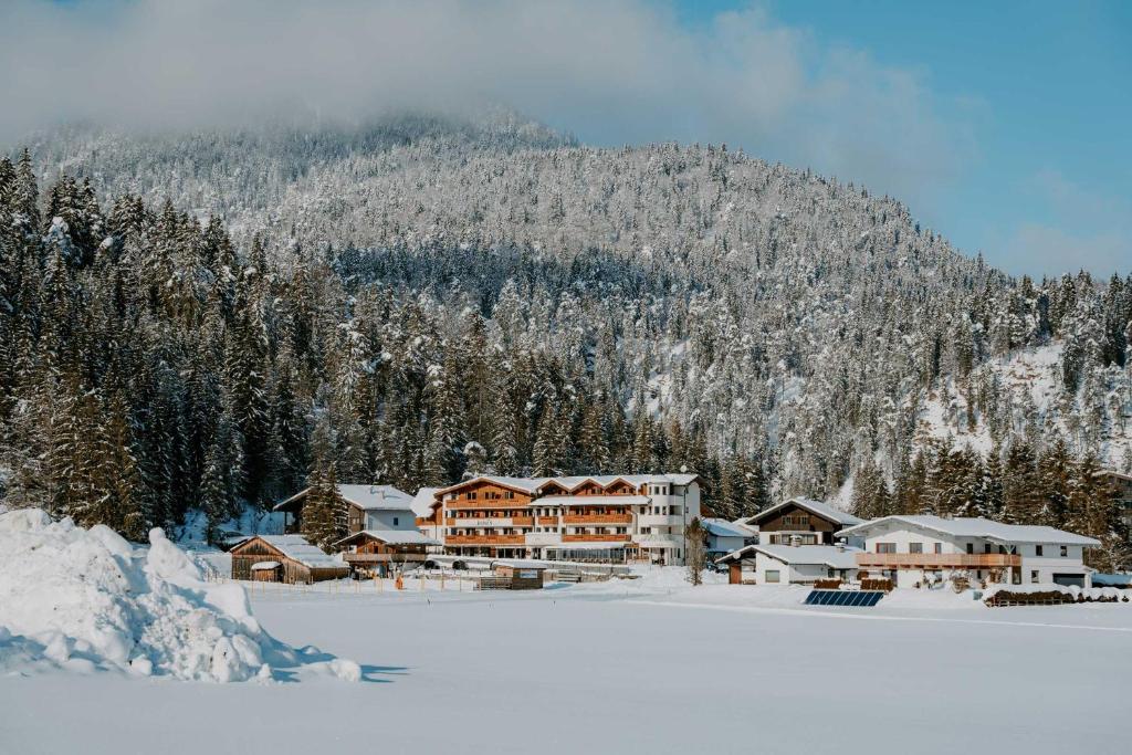 Objekt loisi's Boutiquehotel zimi