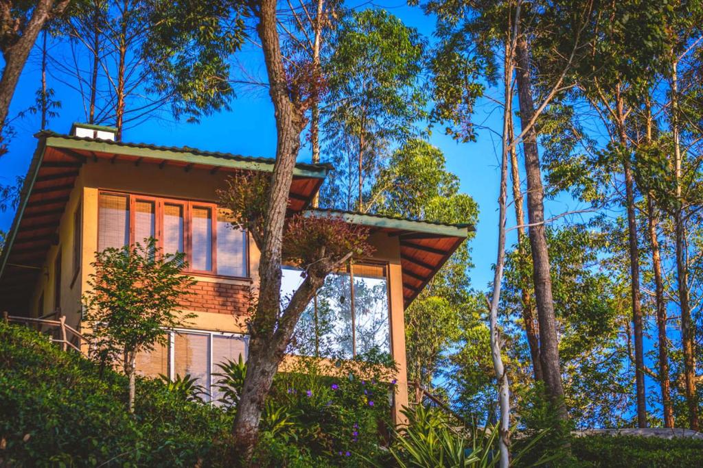 a house in the woods with trees at The Tea Cottage Resort & Spa in Nawalapitiya