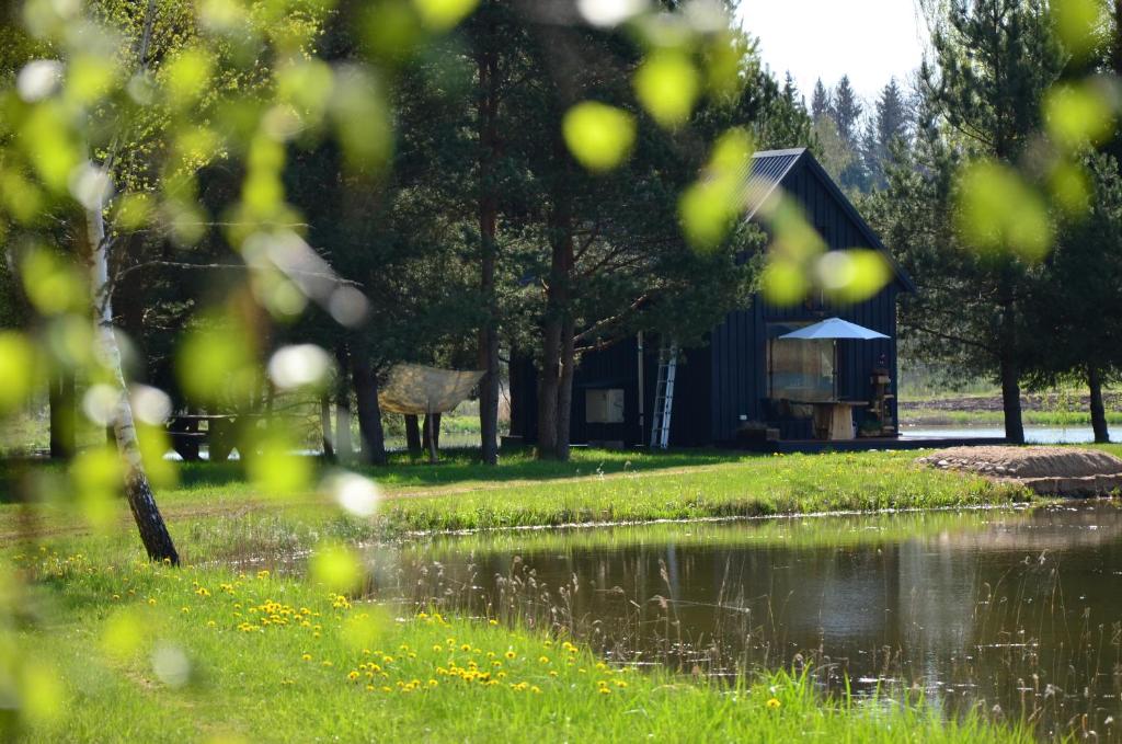 un fienile con un cervo in piedi accanto a un corpo d'acqua di Skujiņa a Princmuiza