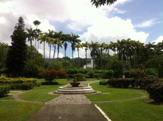 un jardín con una fuente en medio de un parque en The Zen Den en Puerto España