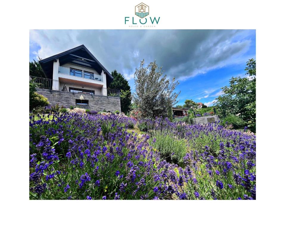 Flow House&Garden 야외 정원