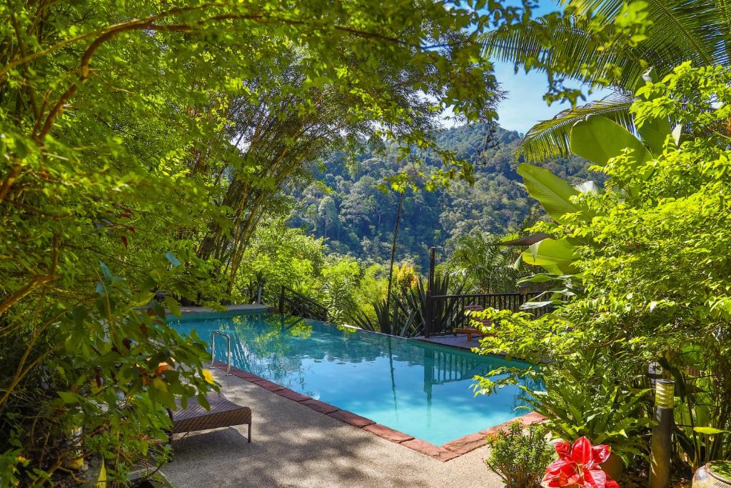 Swimmingpoolen hos eller tæt på The Dusun