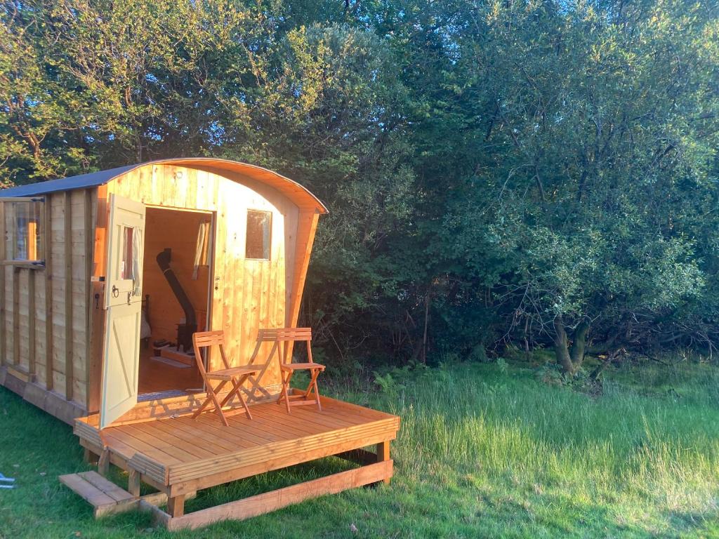 O grădină în afara Shepherds Hut on Alpaca and working farm