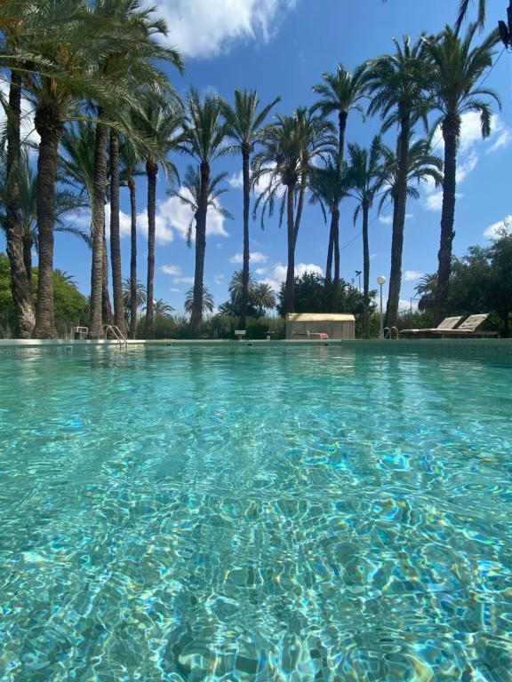 una piscina con palmeras en el fondo en Pink Lemon House en Elche