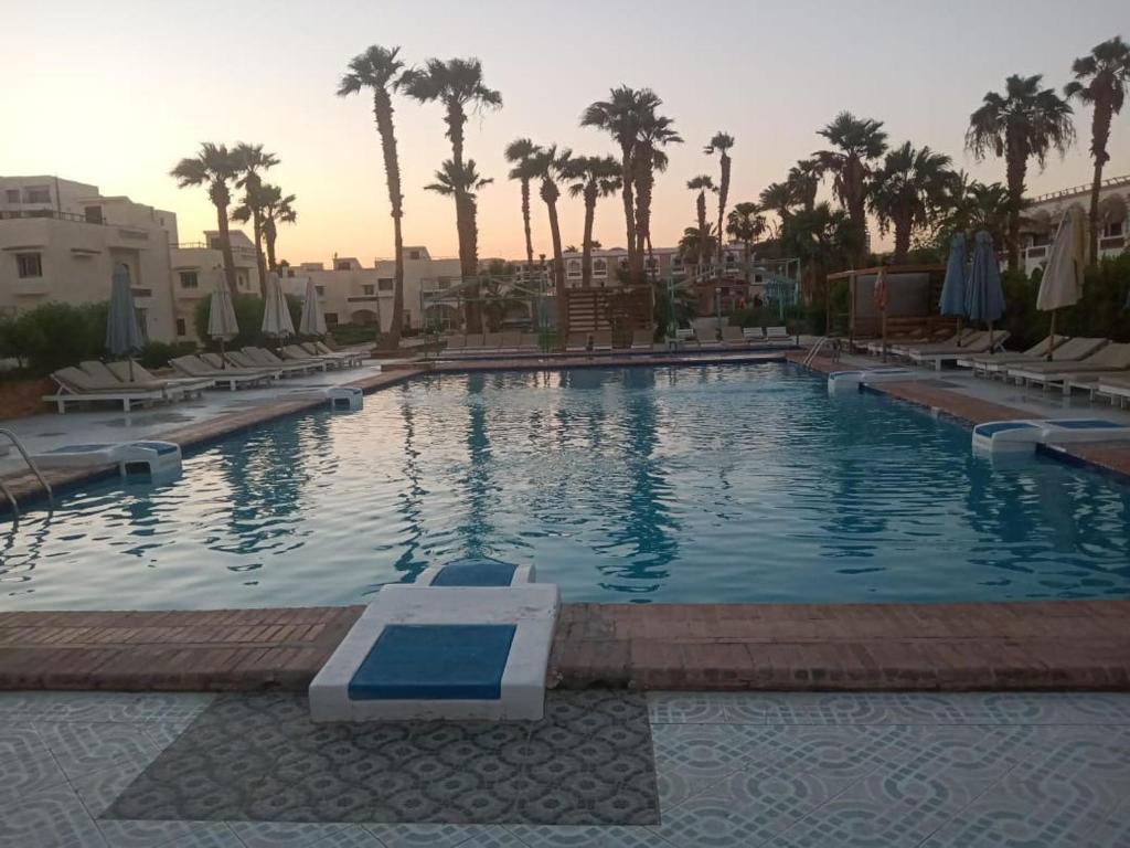 une grande piscine avec des chaises et des palmiers dans l'établissement Elixir, à Hurghada