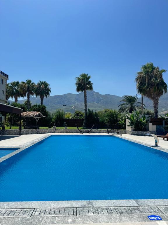 una gran piscina azul con palmeras en el fondo en The Horse Farm Hotel en Kyrenia