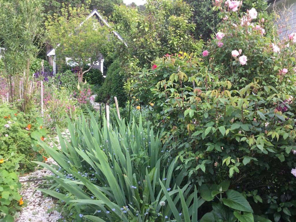 Puutarhaa majoituspaikan Hahei Kereru Cottage ulkopuolella