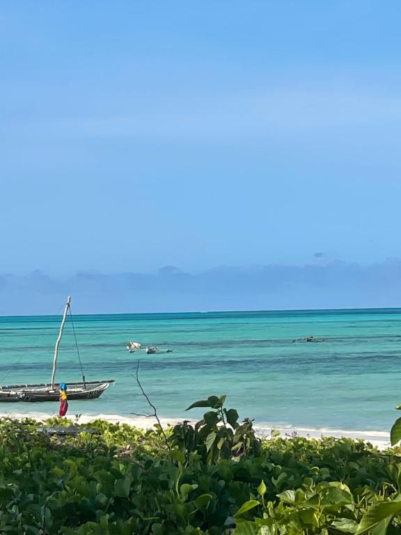 een boot op het strand voor de oceaan bij Lekker Lodge & Restaurant in Jambiani