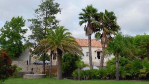 una casa con palmeras delante en Quinta do Mourão, en Tentúgal