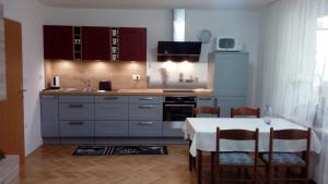 A kitchen or kitchenette at Apartma Meta