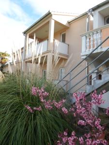 una casa con fiori rosa di fronte di Apartments Golić a Biograd na Moru