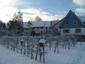 Hotel Faxe Schwarzwälder Hof iarna