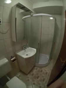 La salle de bains est pourvue d'un lavabo, d'une douche et de toilettes. dans l'établissement Kuca za odmor_Danica, à Sveti Juraj