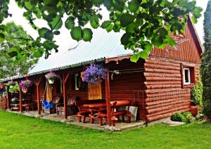 una cabaña de madera con mesas de picnic frente a ella en Kasienka Cottage en Stronie Śląskie