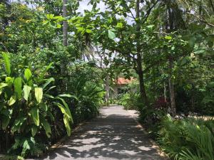 Jardin de l'établissement Ginganga Lodge