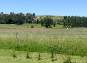 una recinzione in mezzo a un campo di Clarens socialites, Thatch Cottage #1 a Bethlehem