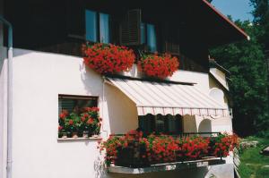 un edificio blanco con flores en las ventanas en ZRM center en Idrija