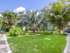 um quintal com palmeiras e uma casa em OYO Pousada Recanto Shangrilá, Cabo Frio em Cabo Frio