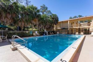 Kolam renang di atau dekat dengan La Quinta Inn by Wyndham Tallahassee North