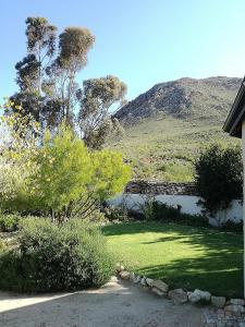 Montagu的住宿－Montagu Ronda-View，一座花园,花园内有一座桥梁和一片水