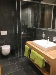 a bathroom with a sink and a toilet and a shower at Suot Crapalb in Samnaun