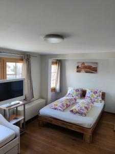 una camera con letto, cuscini e TV di Little Chalet Pirelli 1783 a Interlaken