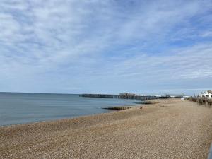 una playa con un muelle en el agua en Astral Lodge en Hastings